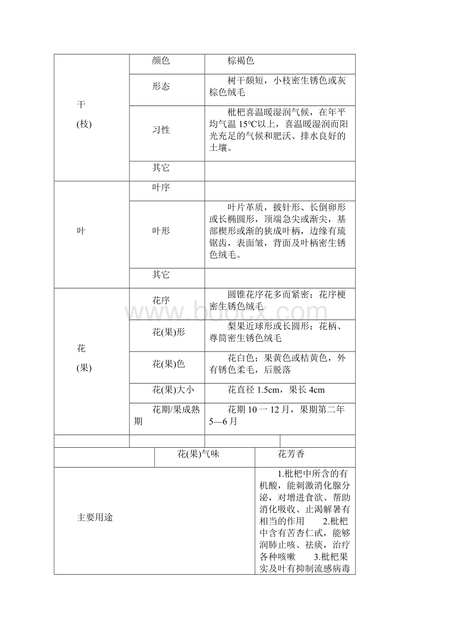 精品植物观测记录.docx_第3页