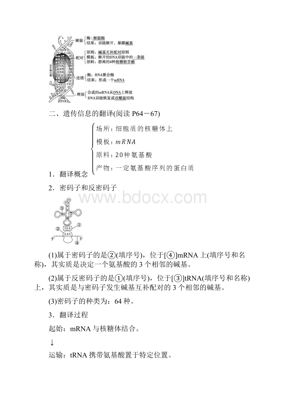 高中生物第4章第1节基因指导蛋白质的合成课时作业新人教版必修21.docx_第2页