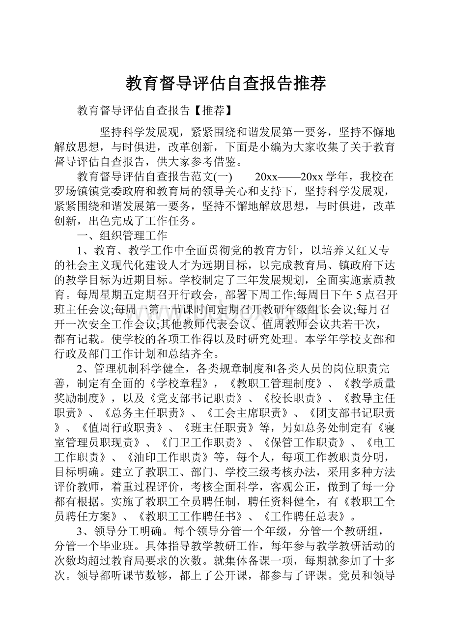 教育督导评估自查报告推荐.docx