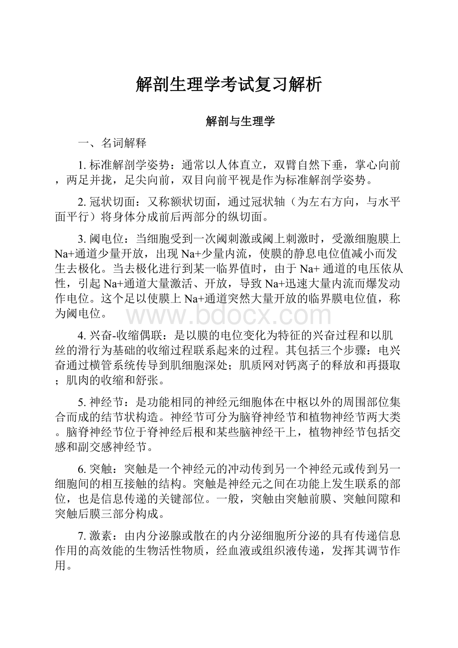 解剖生理学考试复习解析.docx