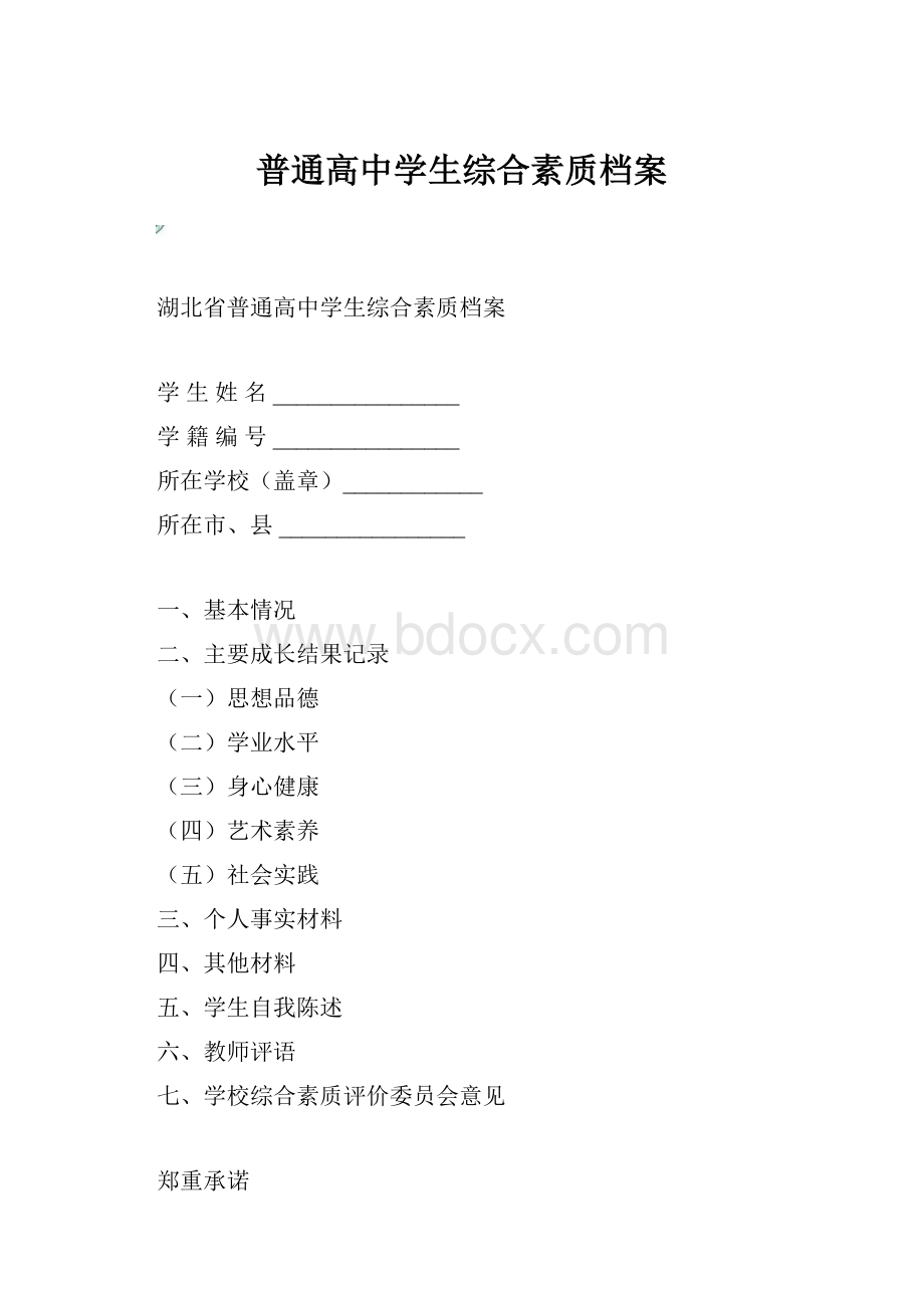 普通高中学生综合素质档案.docx