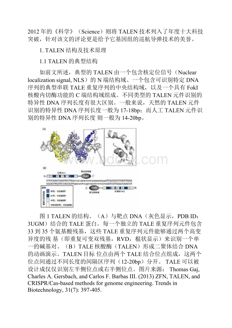 TALEN基因编辑技术.docx_第2页