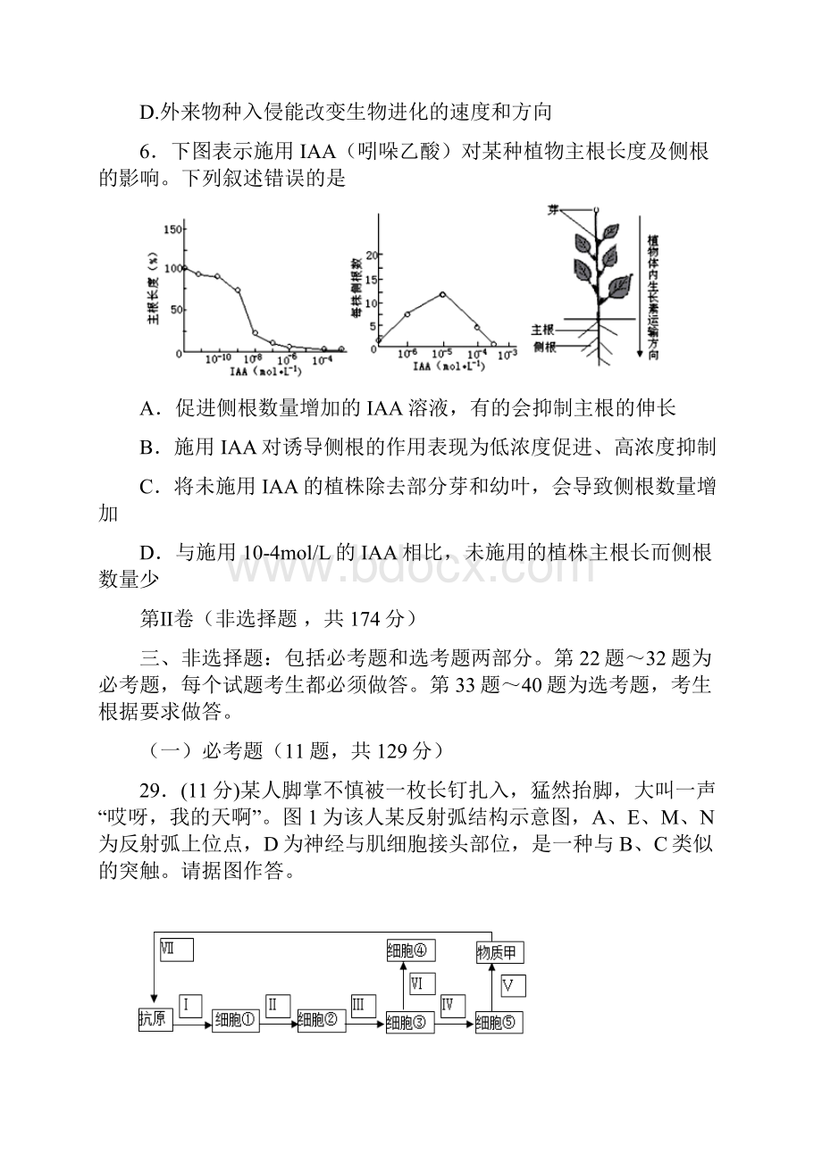 湖北武汉十一中届高三元月月考生物试题.docx_第3页