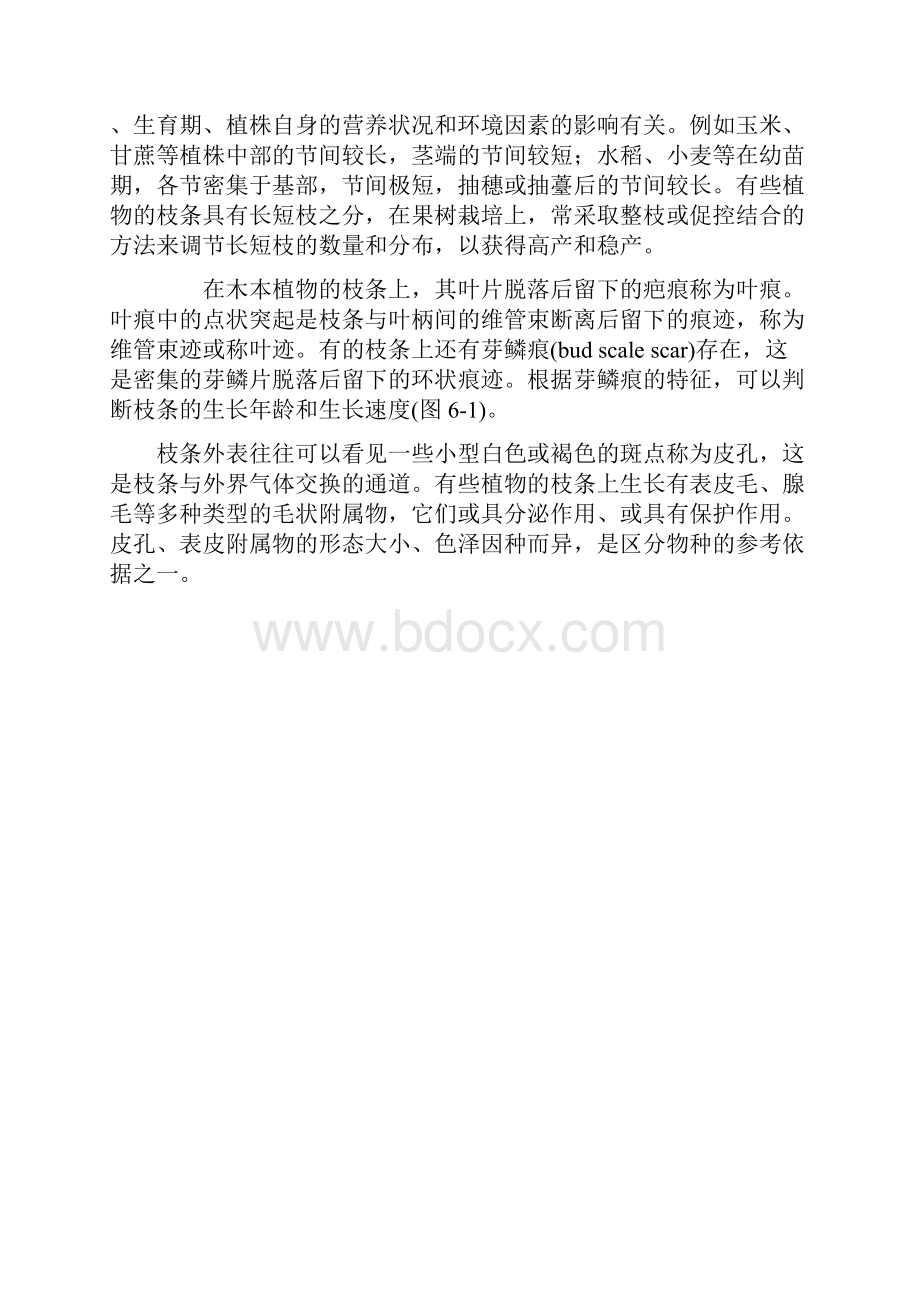 第六章 茎的形态与结构.docx_第3页