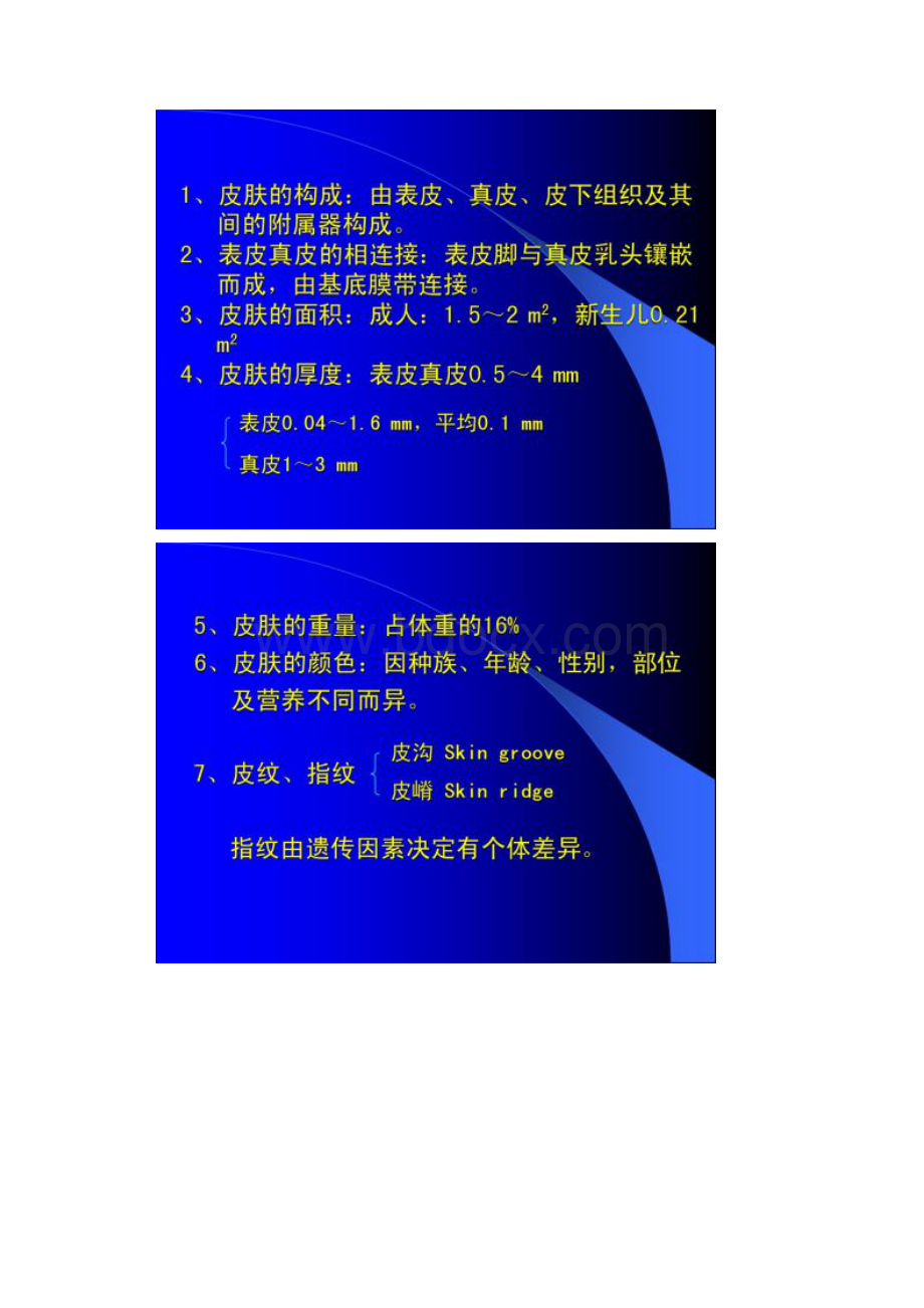 皮肤的结构及其生理功能.docx_第2页