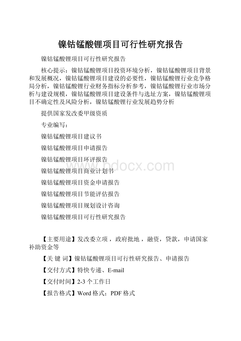 镍钴锰酸锂项目可行性研究报告.docx