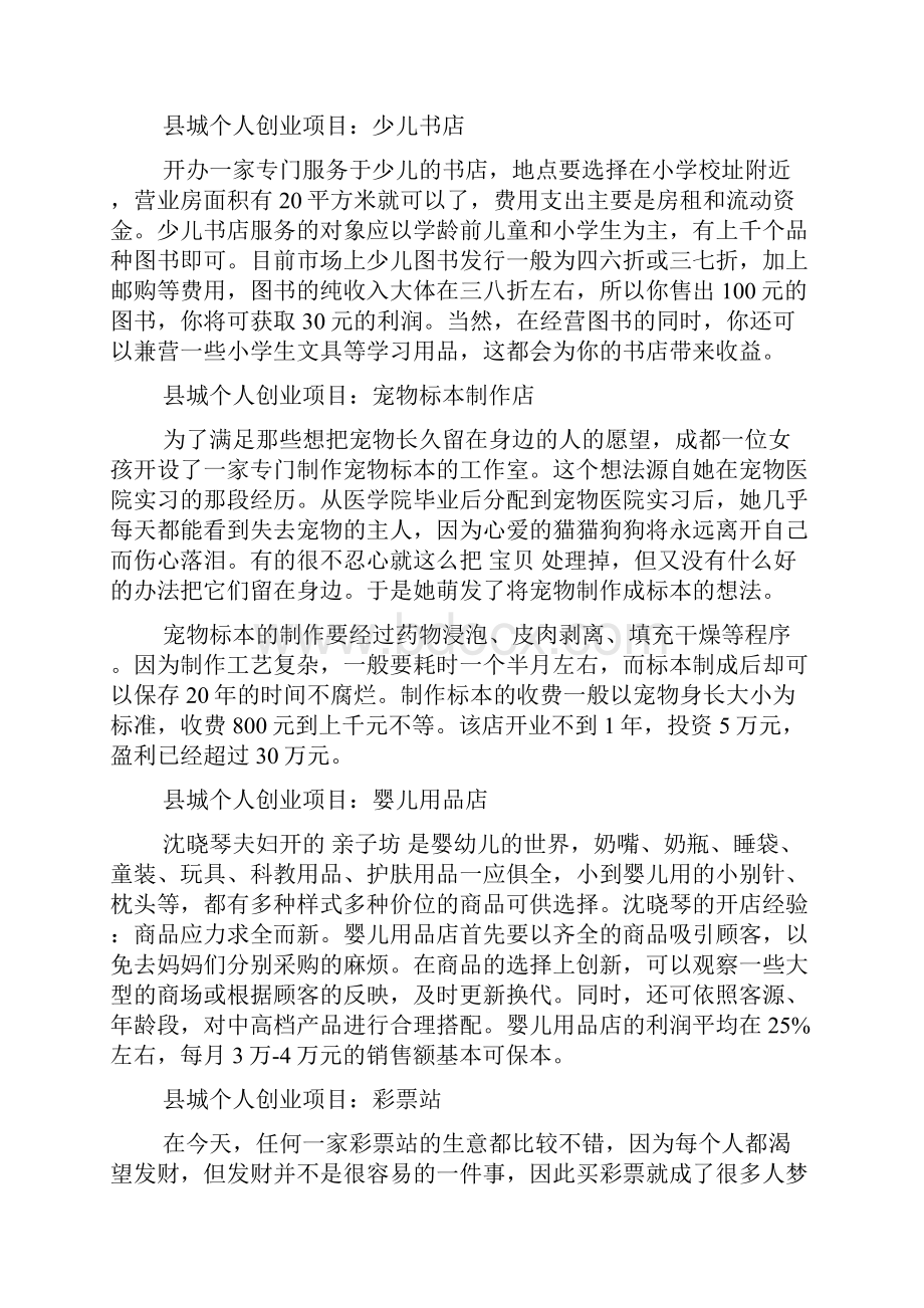 县城个人创业项目doc.docx_第2页