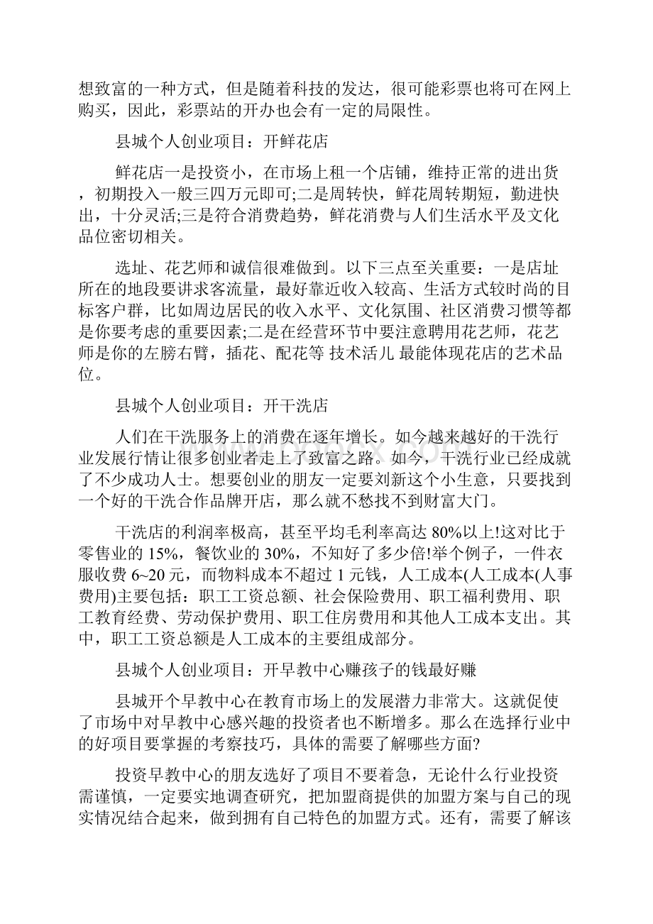 县城个人创业项目doc.docx_第3页