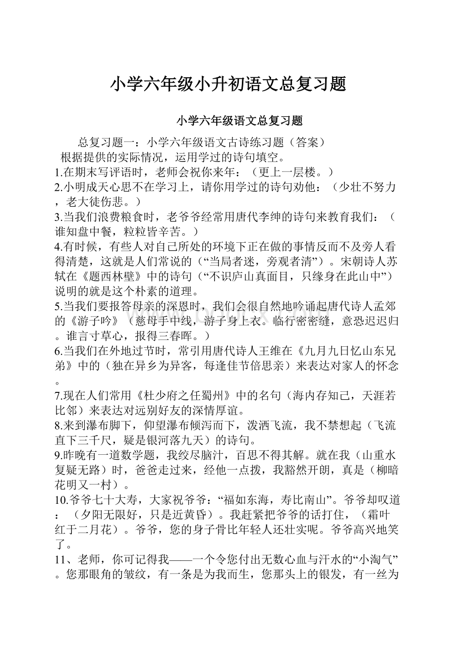 小学六年级小升初语文总复习题.docx