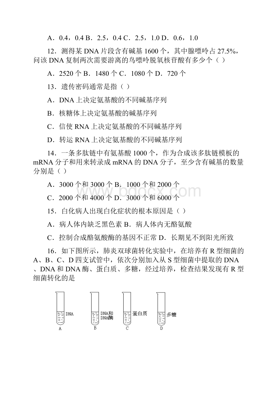 高一生物必修二期末模拟试题及答案doc.docx_第3页