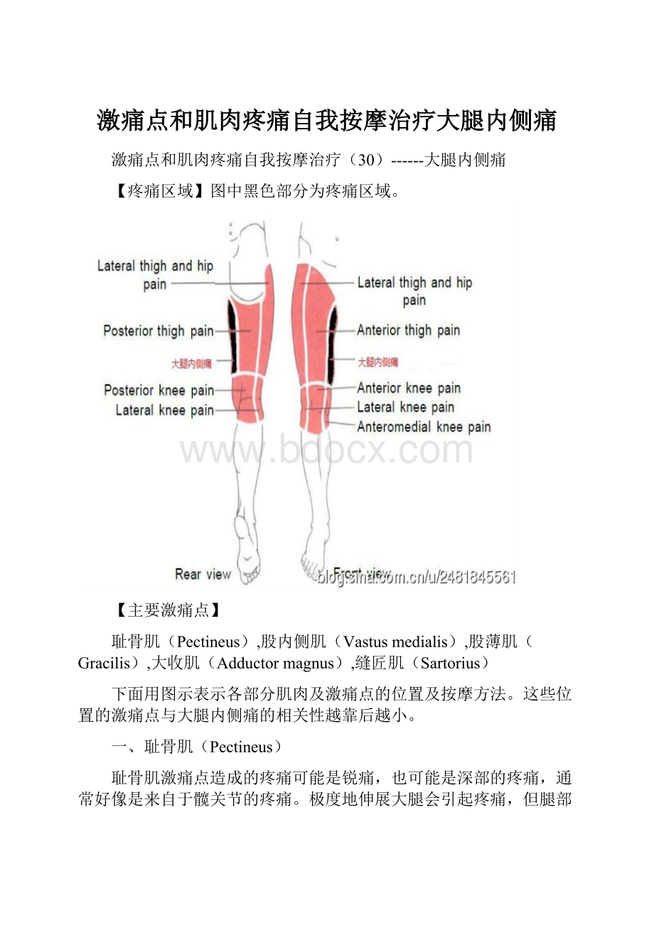 激痛点和肌肉疼痛自我按摩治疗大腿内侧痛.docx