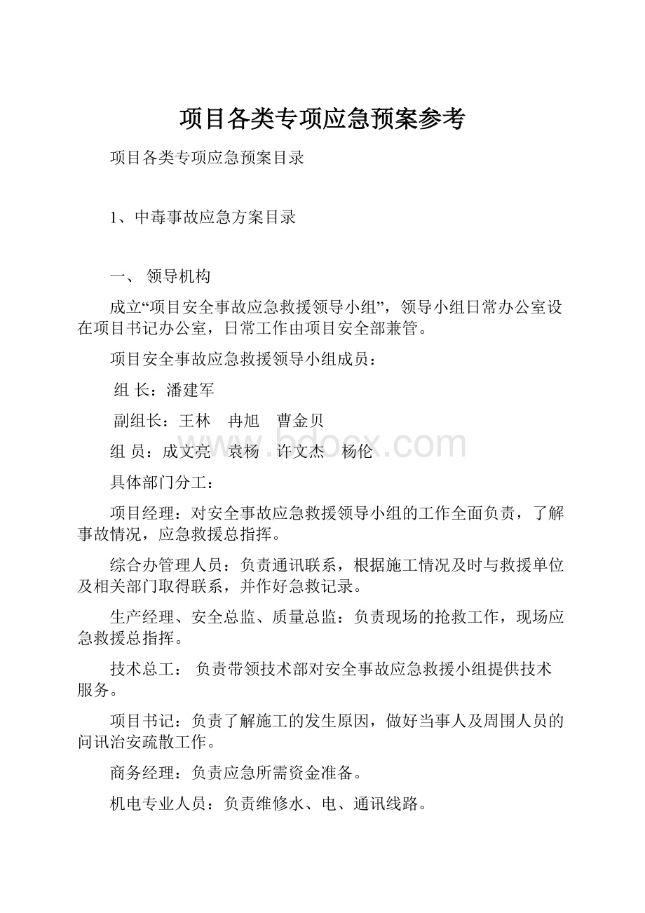 项目各类专项应急预案参考.docx