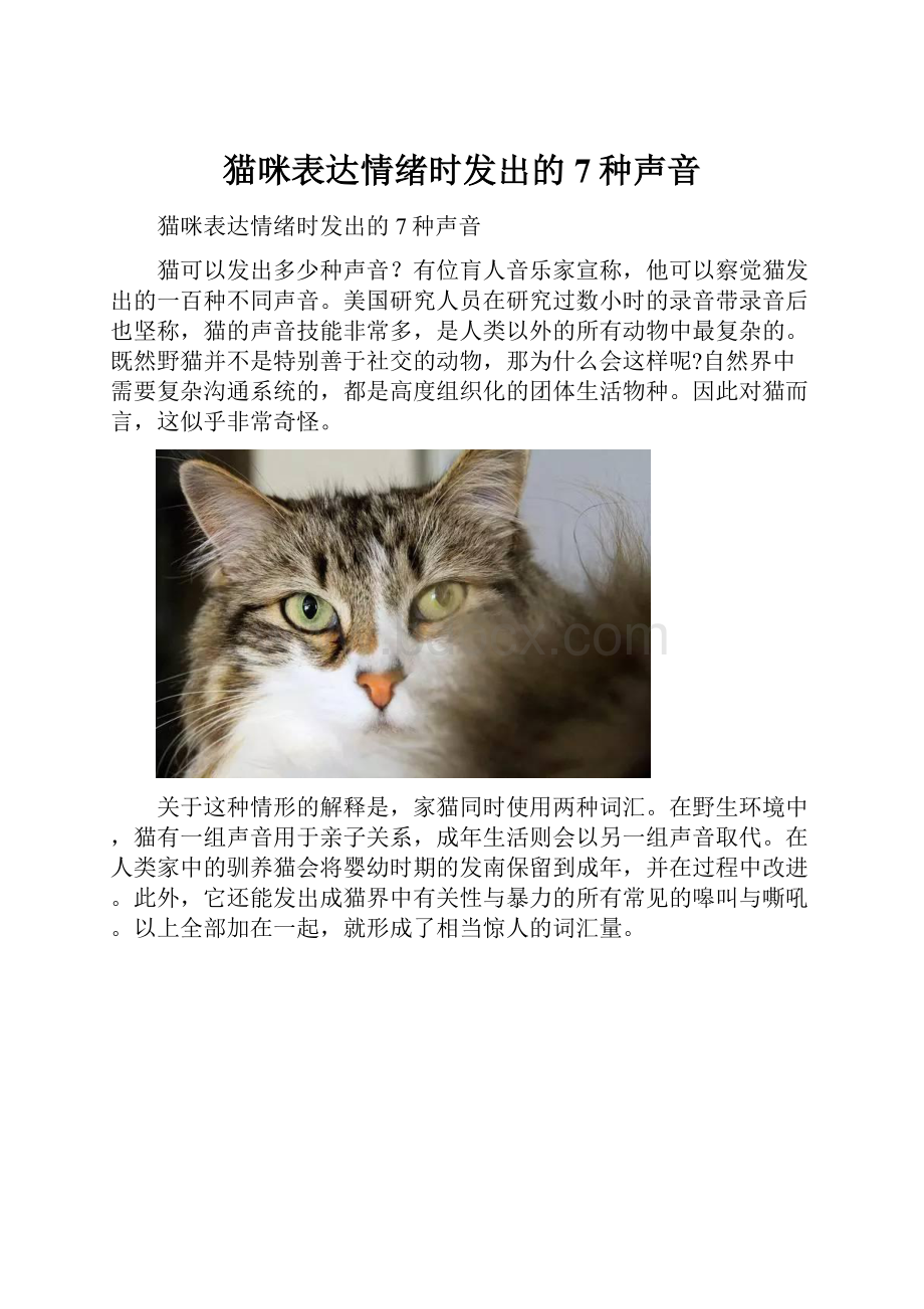 猫咪表达情绪时发出的7种声音.docx