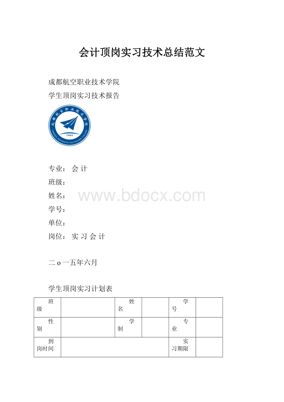 会计顶岗实习技术总结范文.docx