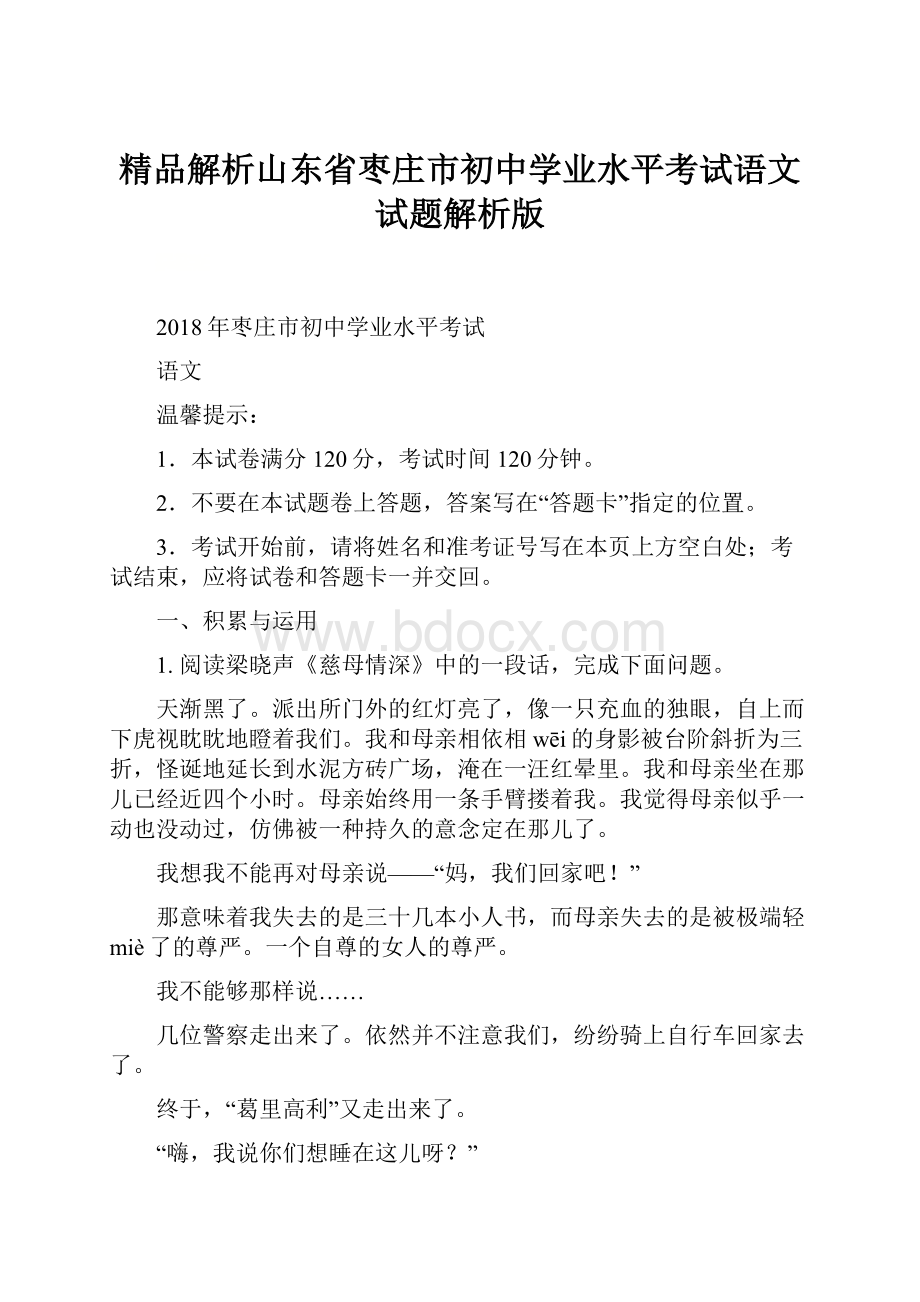 精品解析山东省枣庄市初中学业水平考试语文试题解析版.docx