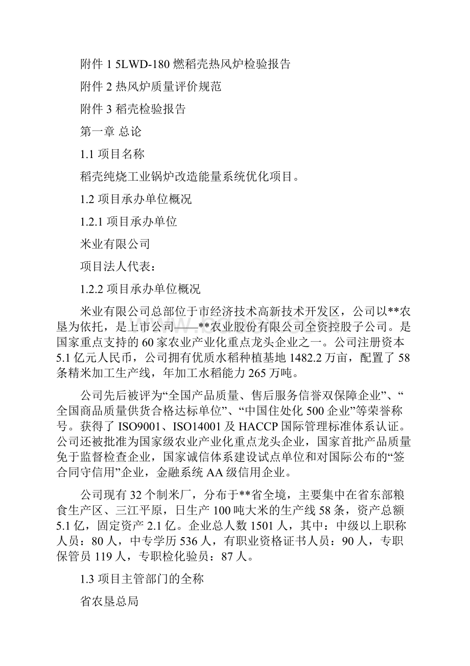 稻壳纯烧工业锅炉改造能量系统优化项目可行性研究报告.docx_第2页