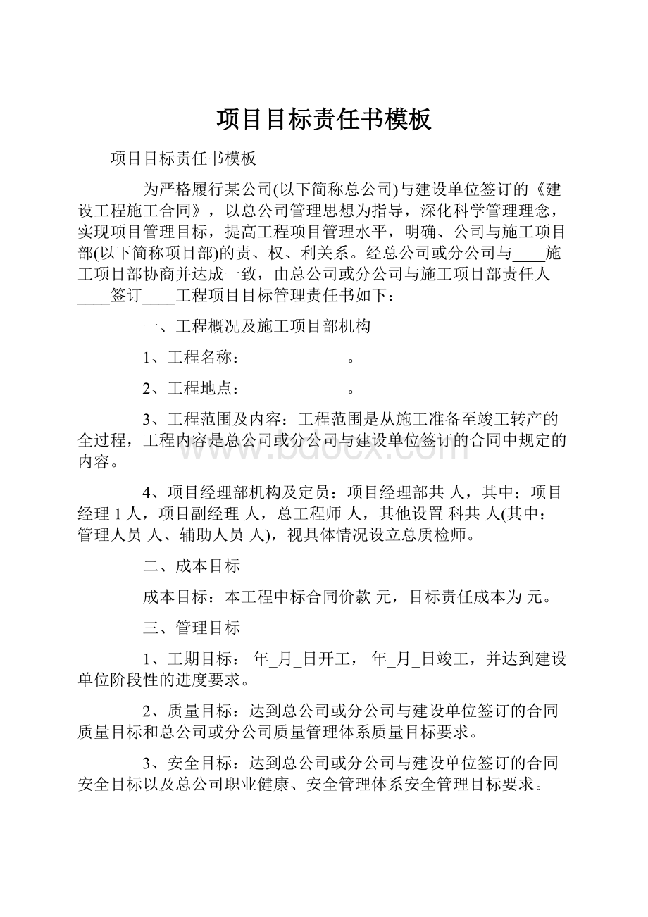 项目目标责任书模板.docx