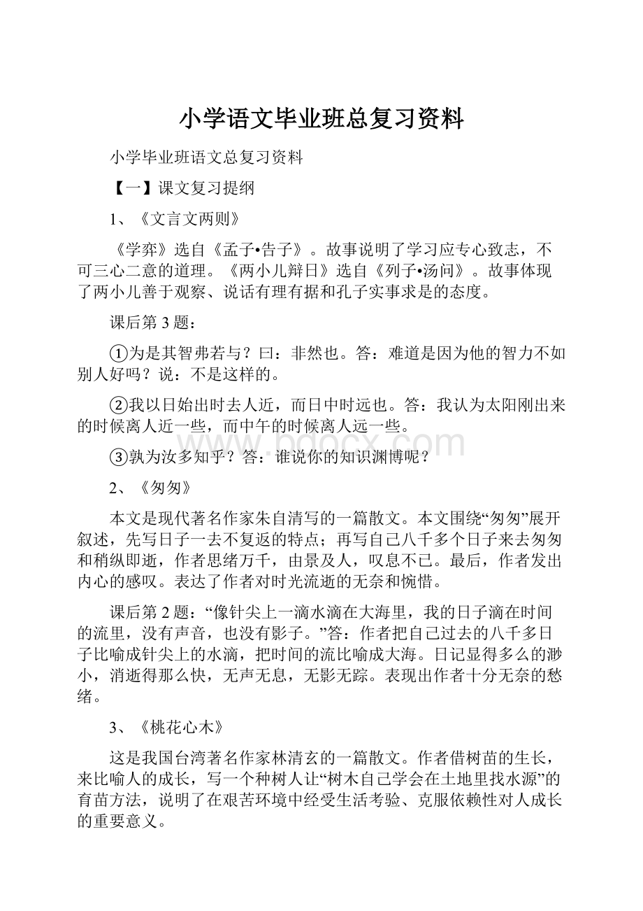 小学语文毕业班总复习资料.docx