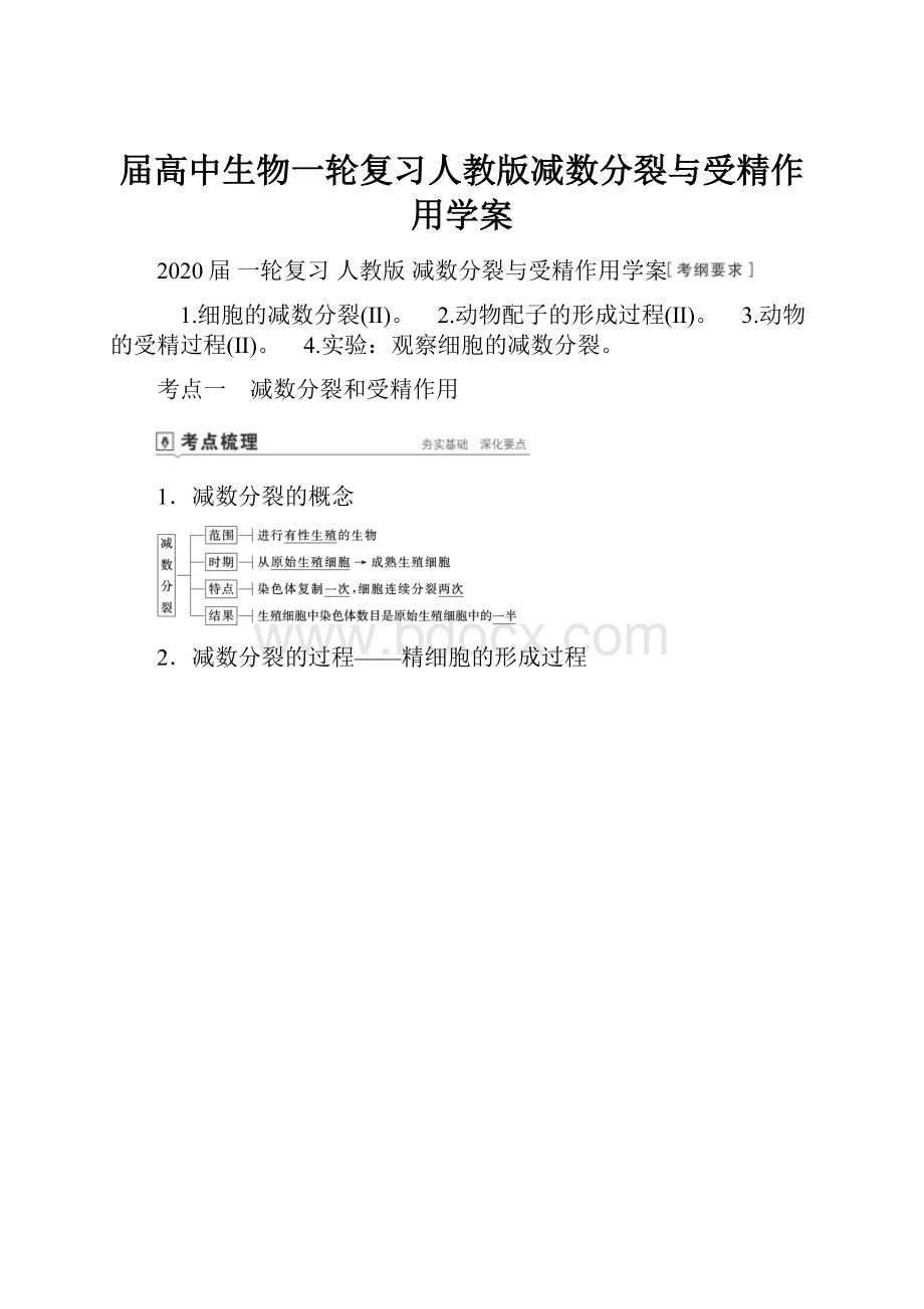 届高中生物一轮复习人教版减数分裂与受精作用学案.docx