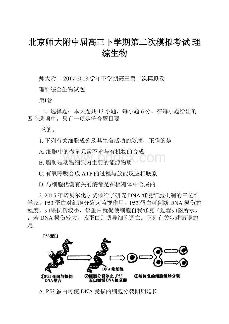 北京师大附中届高三下学期第二次模拟考试 理综生物.docx