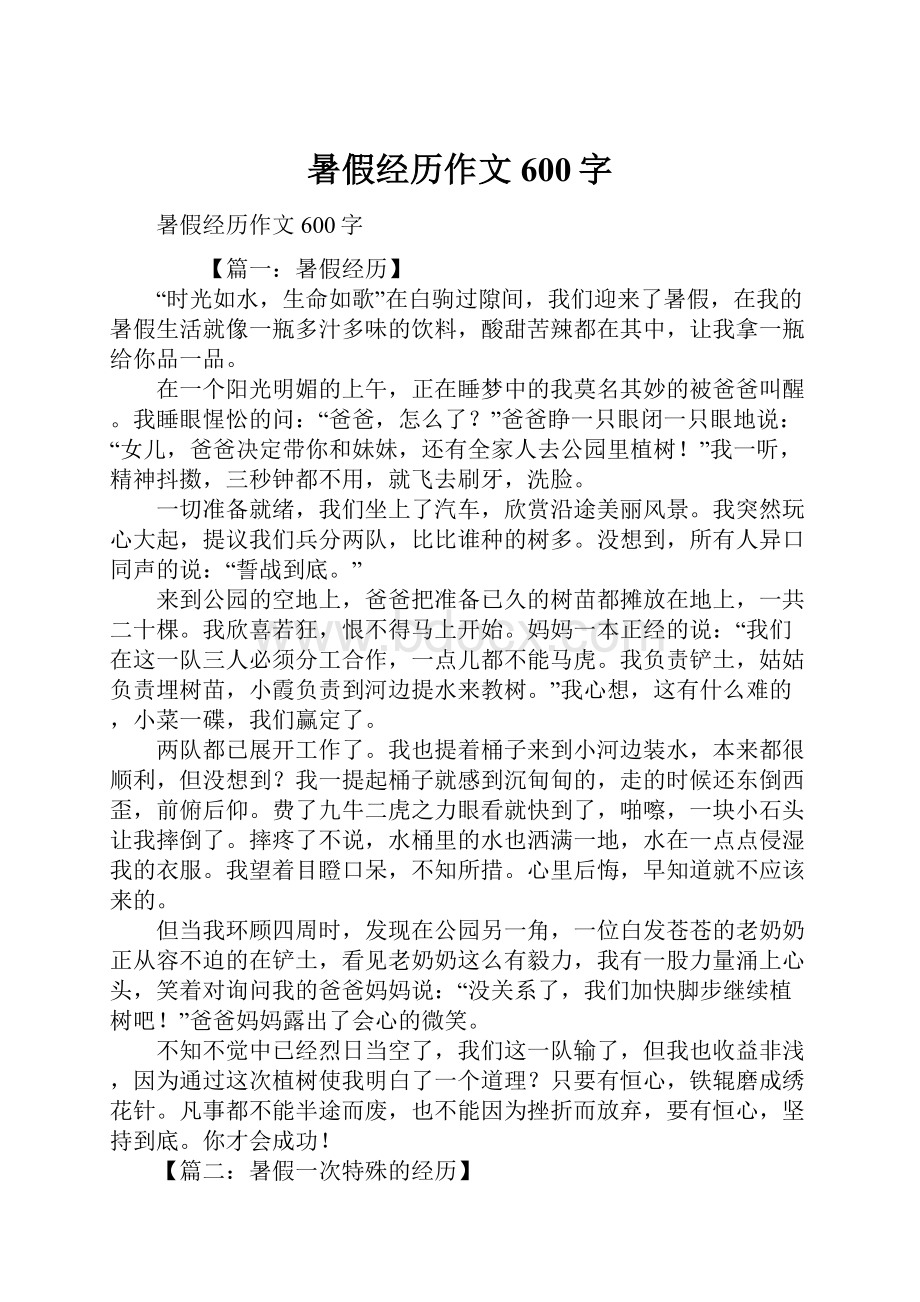 暑假经历作文600字.docx