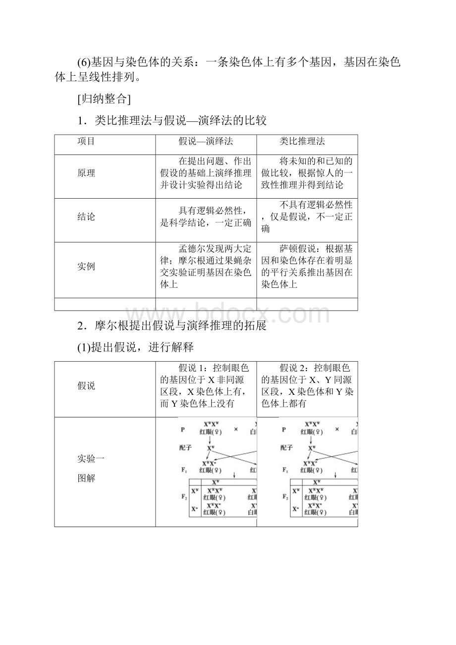 高考 一轮复习 人教版 基因在染色体上与伴性遗传及人类遗传病学案doc.docx_第3页