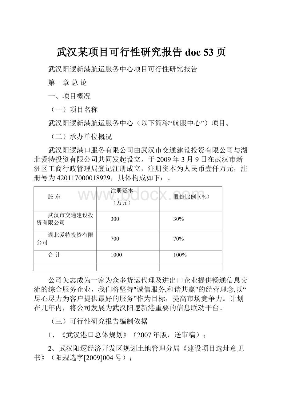 武汉某项目可行性研究报告doc 53页.docx_第1页