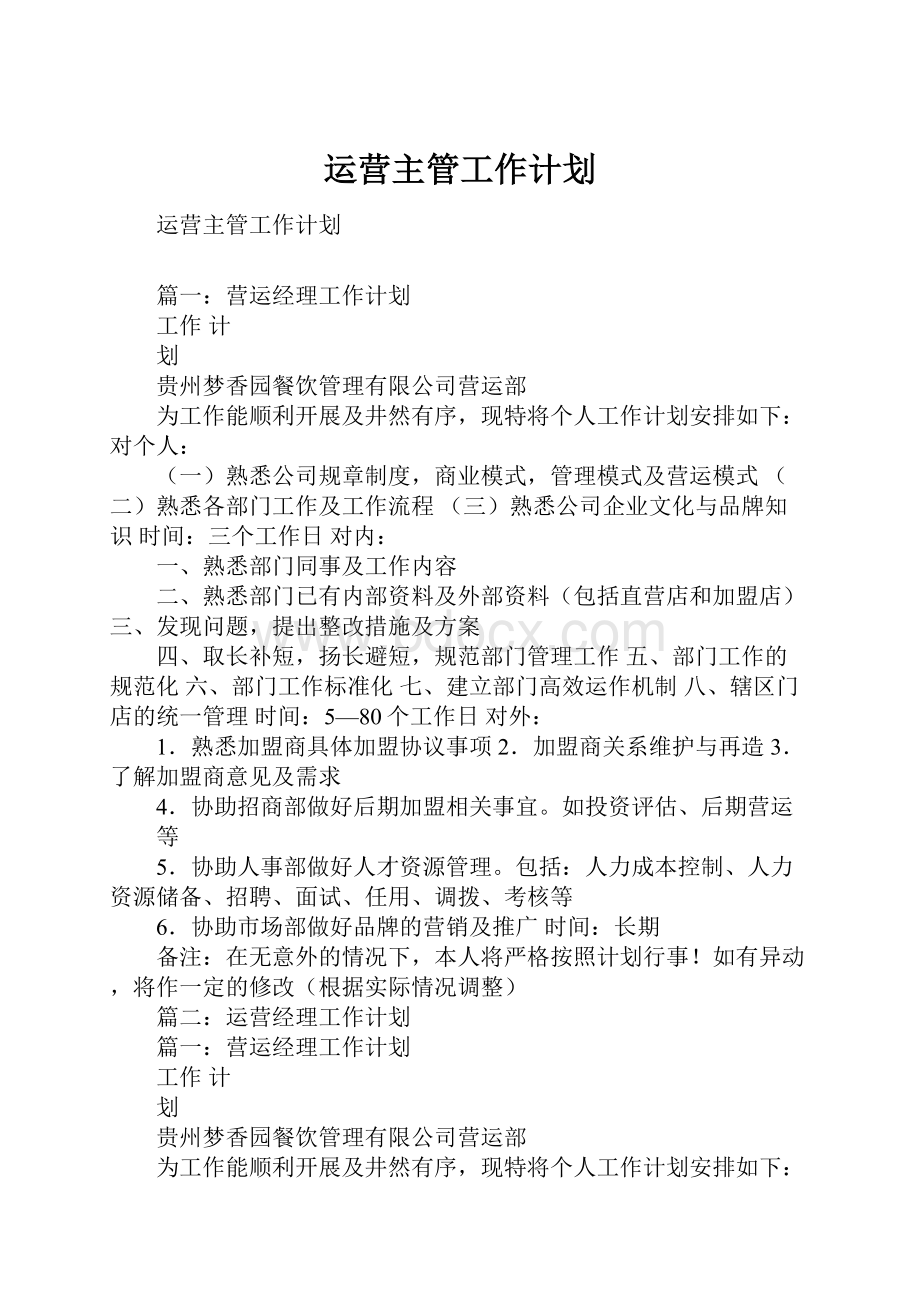 运营主管工作计划.docx_第1页