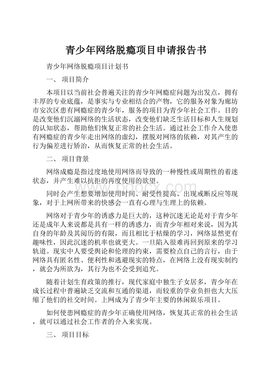 青少年网络脱瘾项目申请报告书.docx_第1页