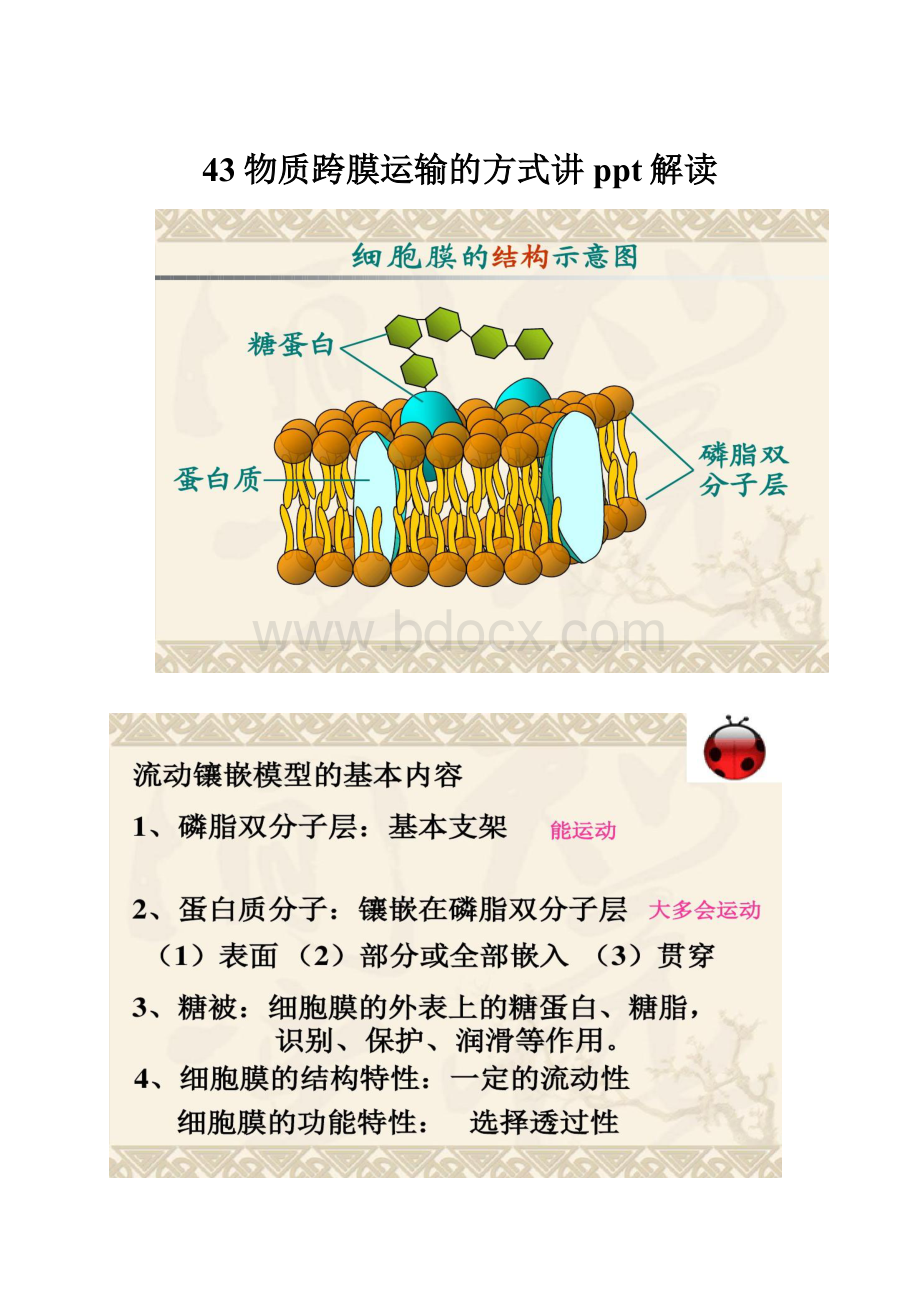 43物质跨膜运输的方式讲ppt解读.docx_第1页