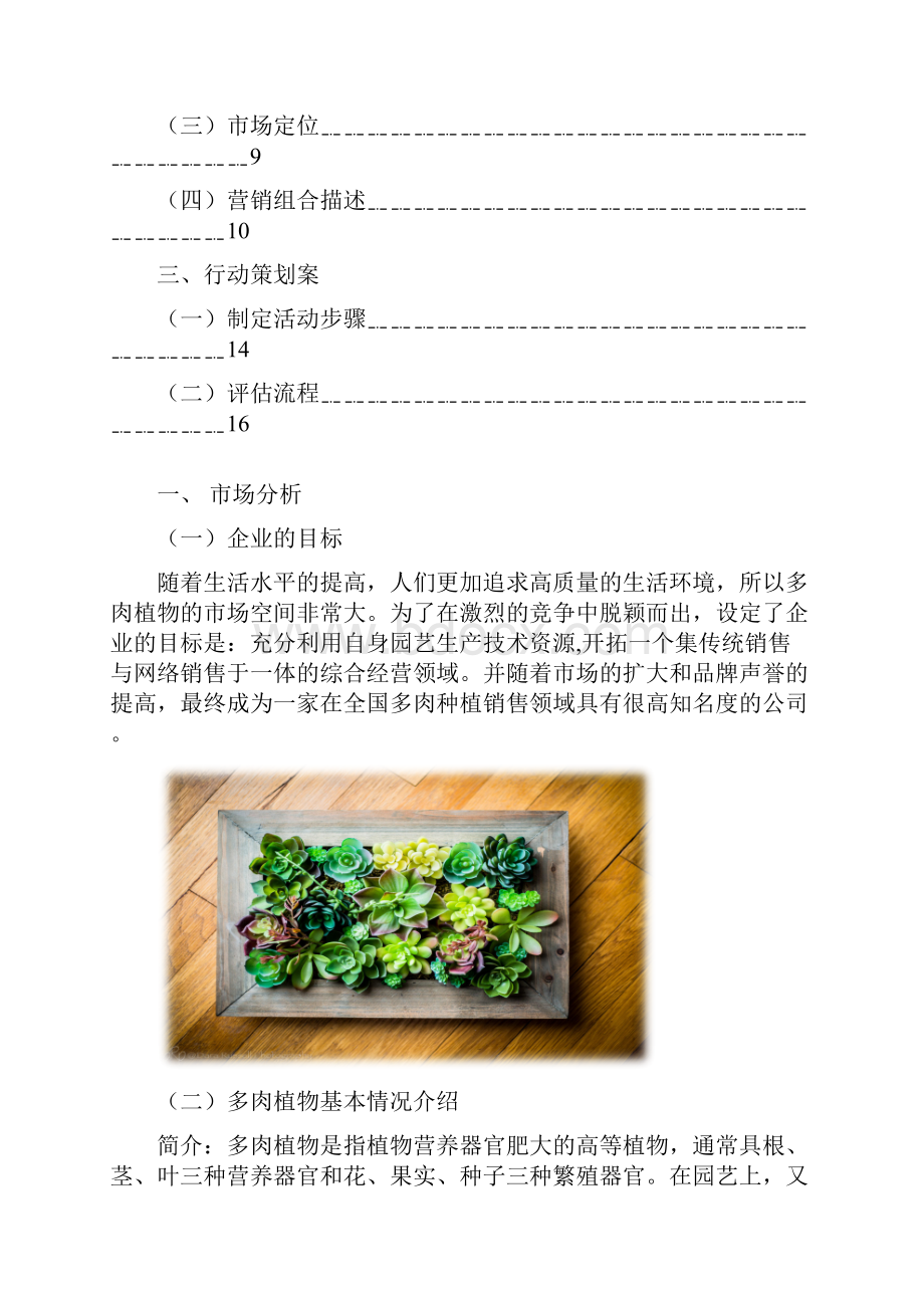 多肉植物市场营销策划书.docx_第3页