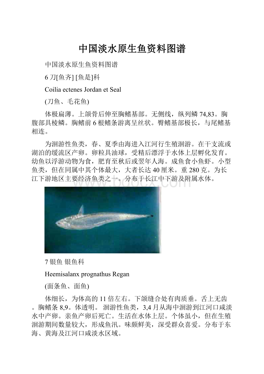 中国淡水原生鱼资料图谱.docx