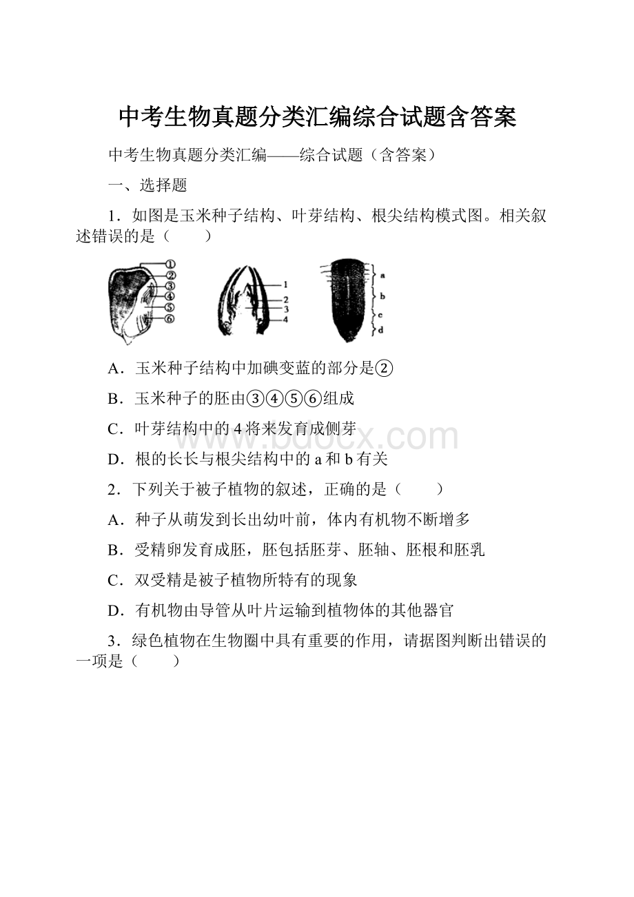 中考生物真题分类汇编综合试题含答案.docx_第1页