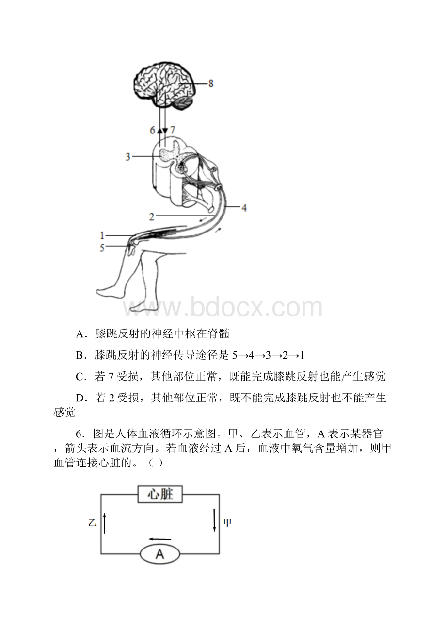 中考生物真题分类汇编综合试题含答案.docx_第3页