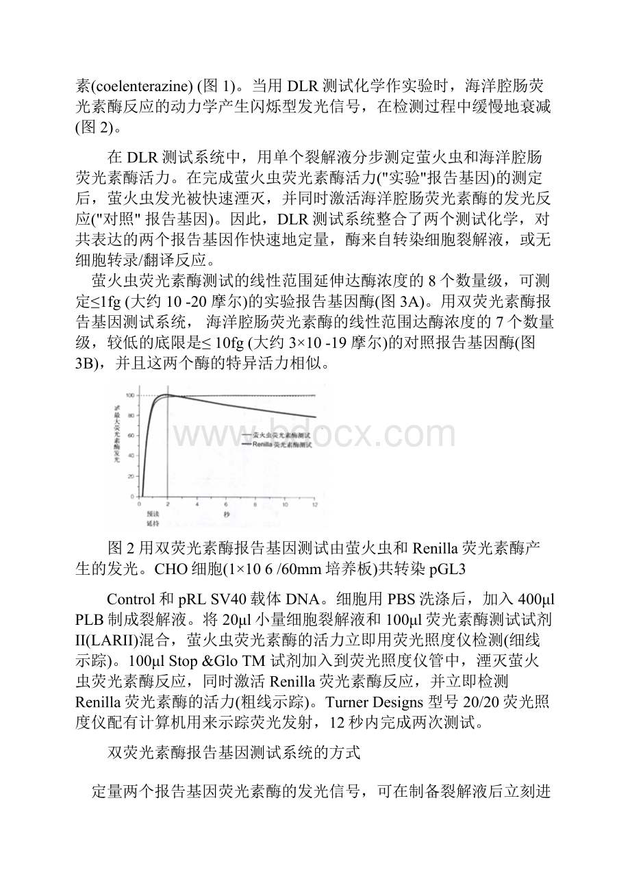 双荧光素酶报告系统.docx_第3页