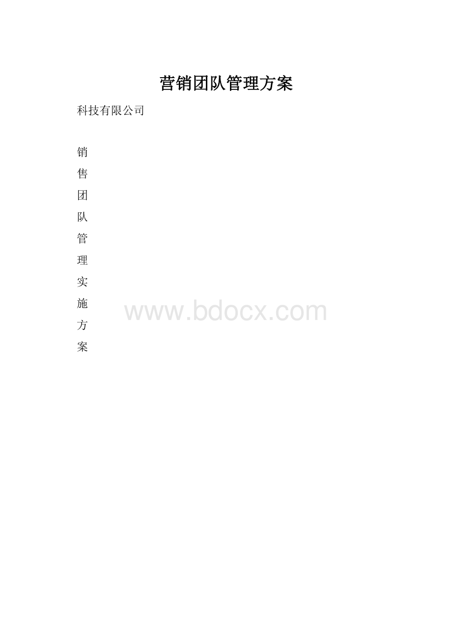 营销团队管理方案.docx