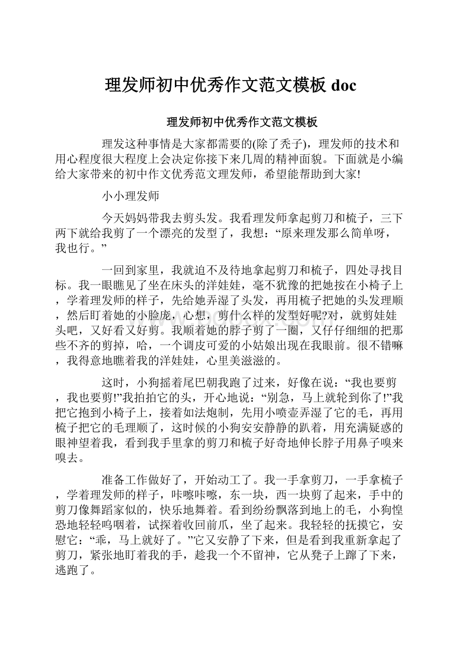 理发师初中优秀作文范文模板doc.docx