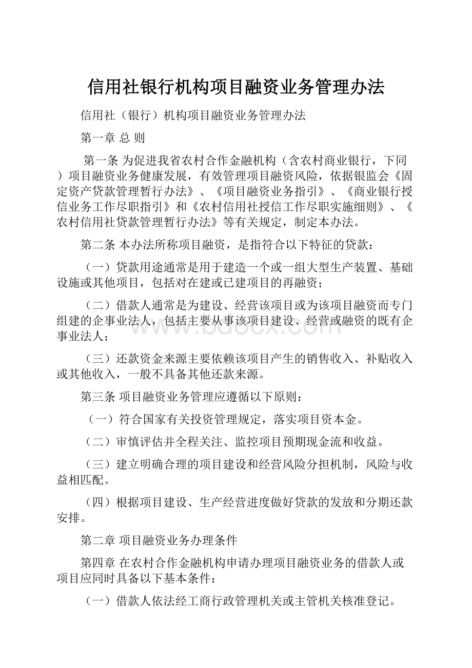 信用社银行机构项目融资业务管理办法.docx