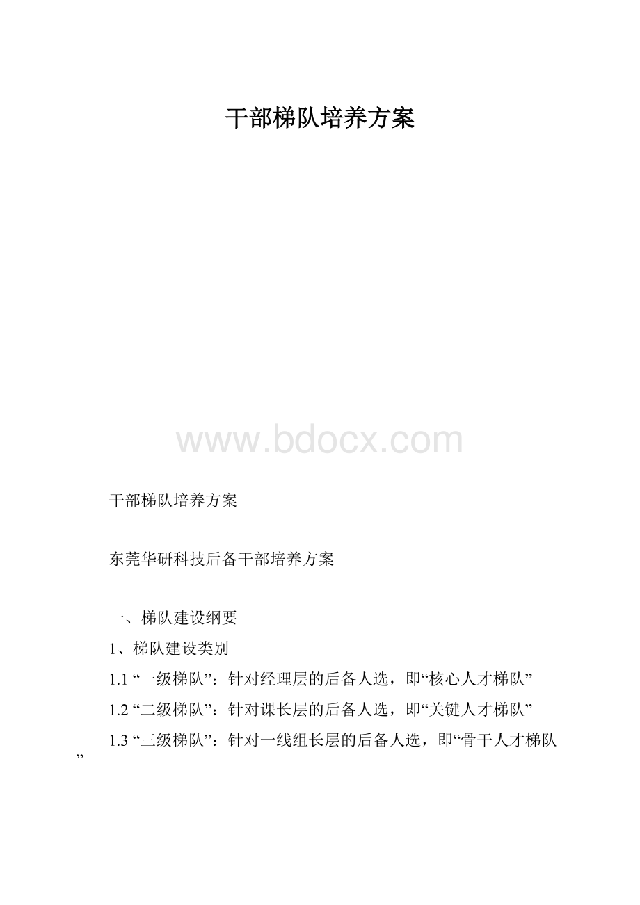 干部梯队培养方案.docx