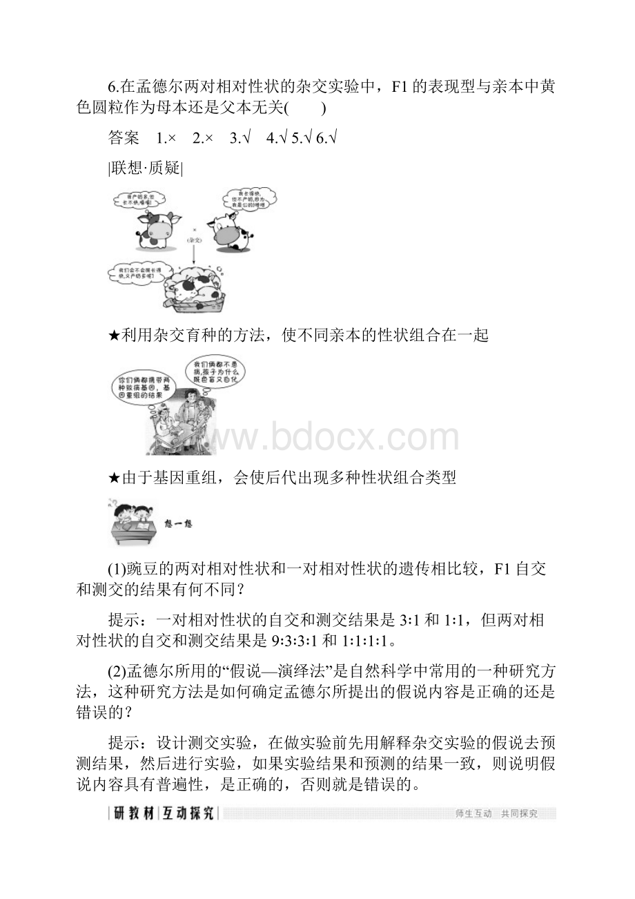 高中生物第1章遗传因子的发现第2节第2课时孟德尔的两对相对性状的杂交实验学案.docx_第3页