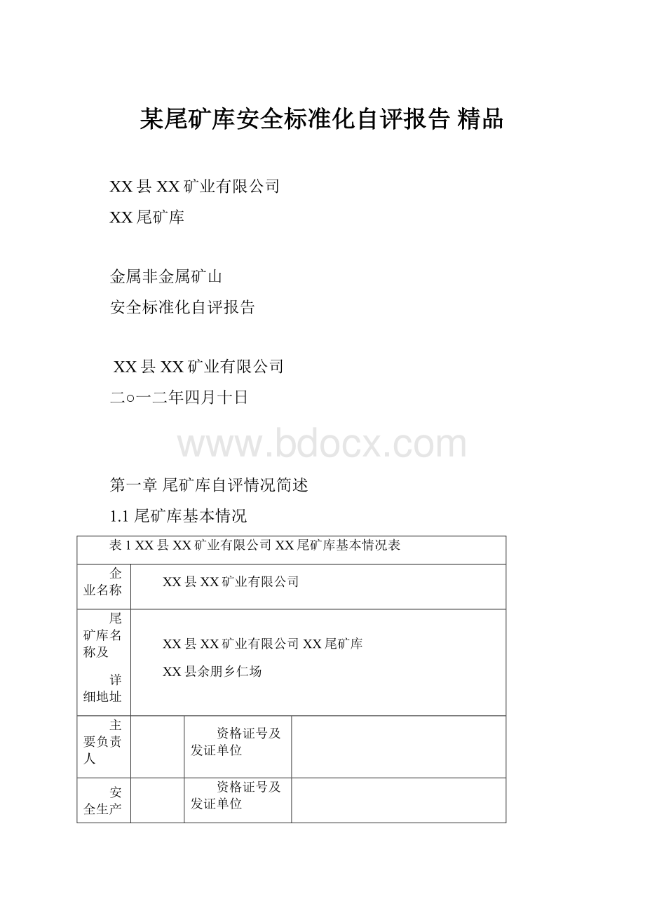 某尾矿库安全标准化自评报告 精品.docx