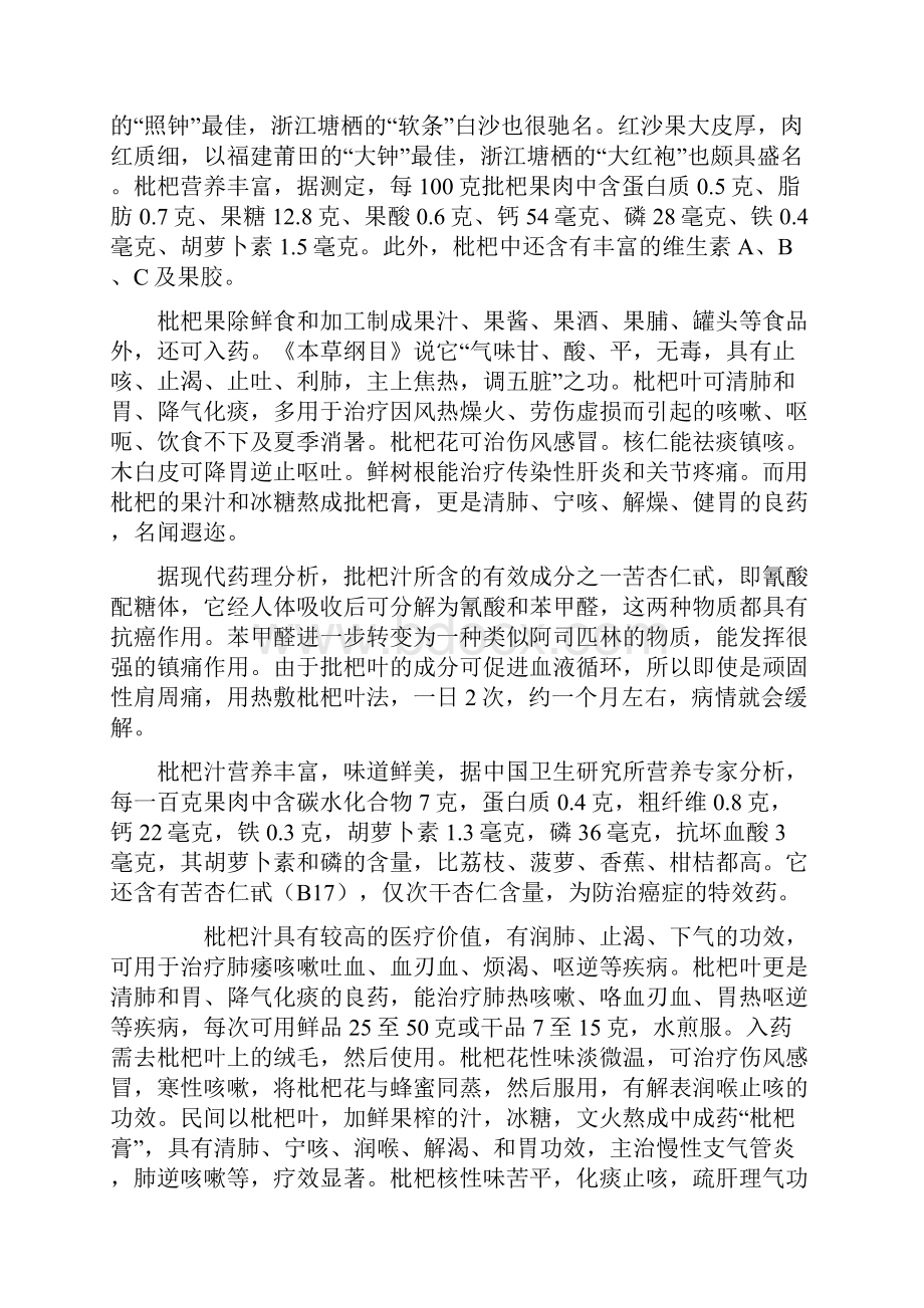 枇杷汁饮料可行性研究报告书.docx_第3页