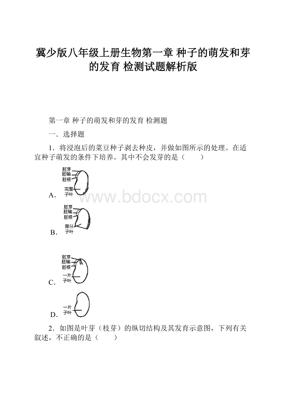 冀少版八年级上册生物第一章 种子的萌发和芽的发育 检测试题解析版.docx