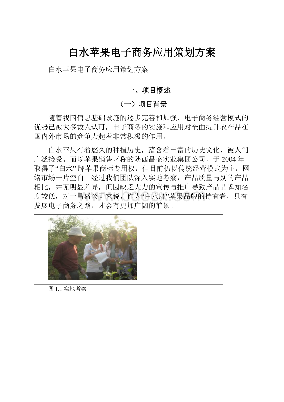 白水苹果电子商务应用策划方案.docx_第1页