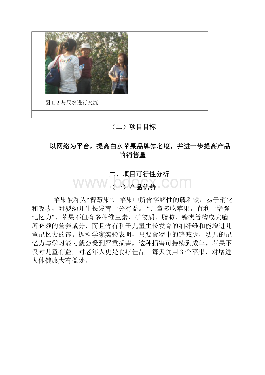 白水苹果电子商务应用策划方案.docx_第2页