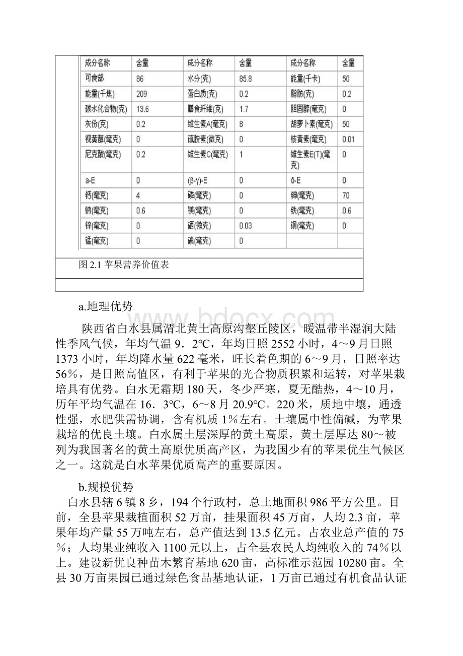 白水苹果电子商务应用策划方案.docx_第3页