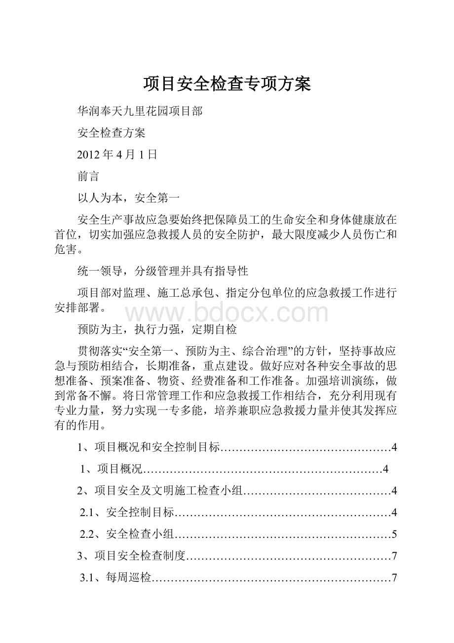 项目安全检查专项方案.docx_第1页