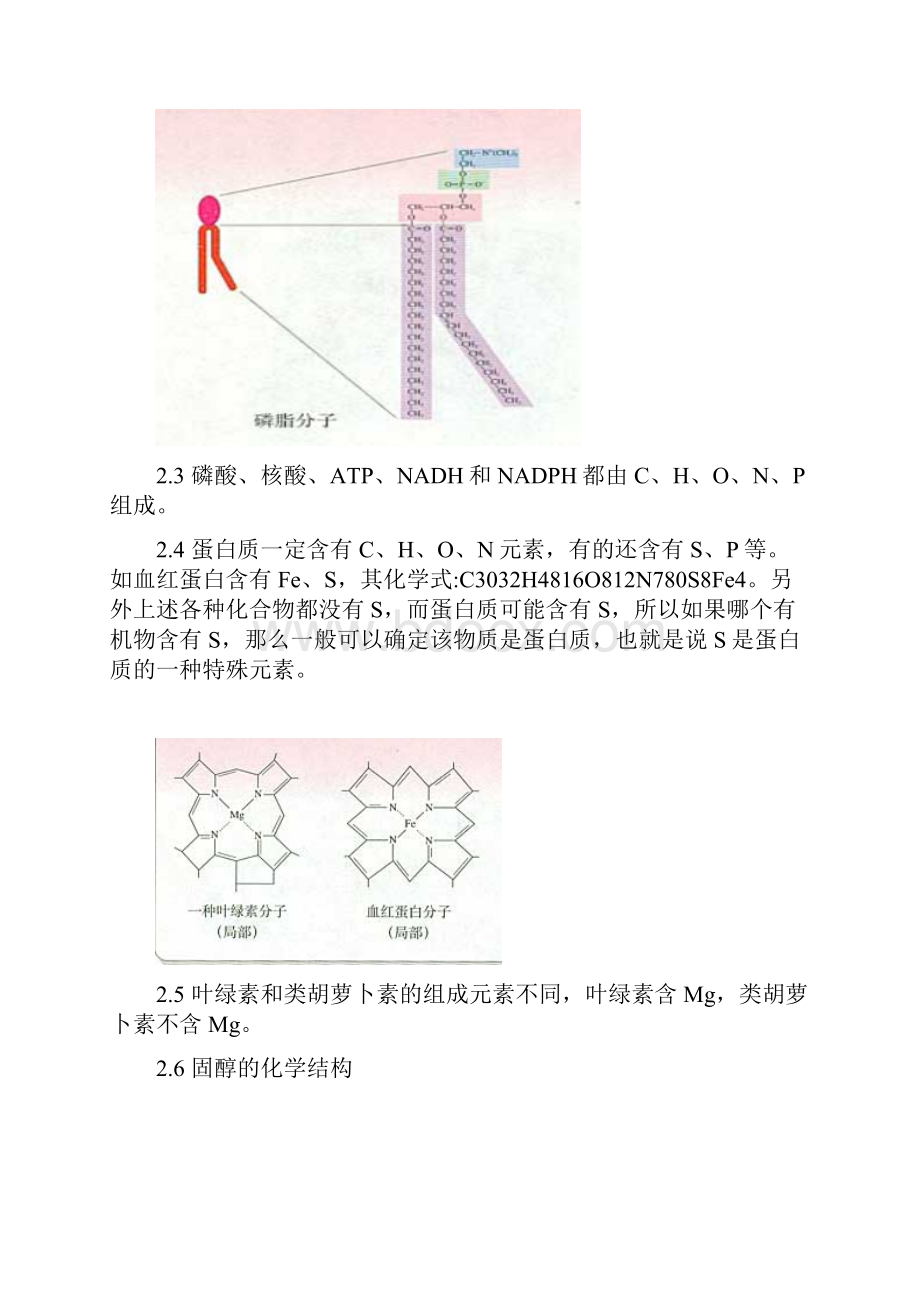 常见化合物的元素组成.docx_第2页