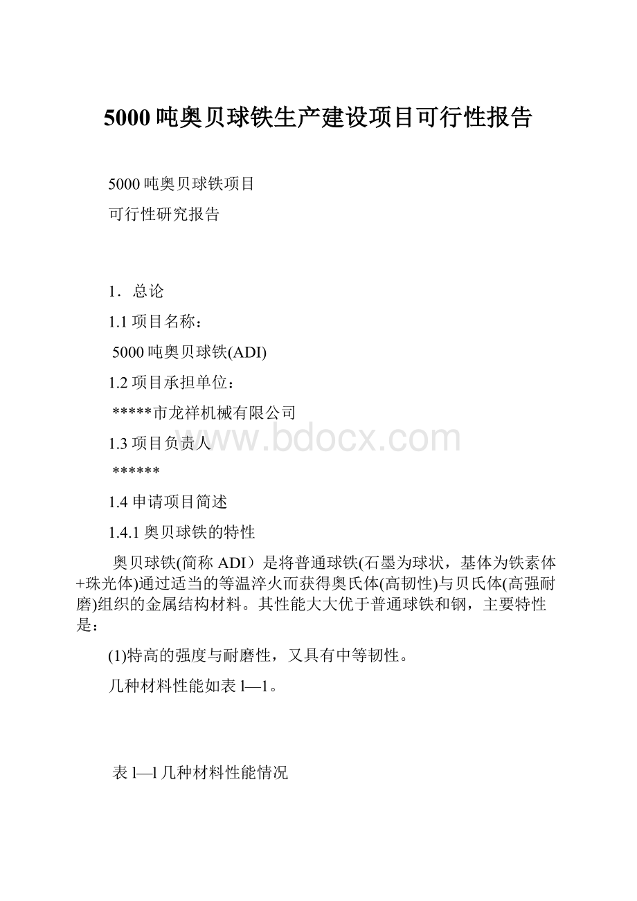 5000吨奥贝球铁生产建设项目可行性报告.docx