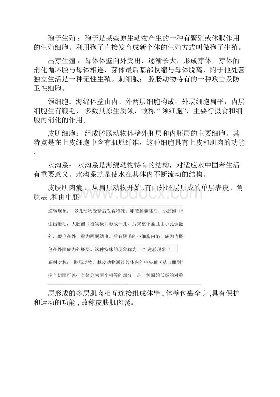 普通动物学刘凌云名词解释总结.docx_第2页